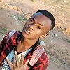 dax vincc